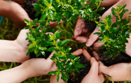 Especialización en Protección Ambiental